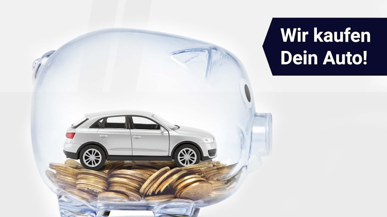 Wir Kaufen Dein Auto Jobs