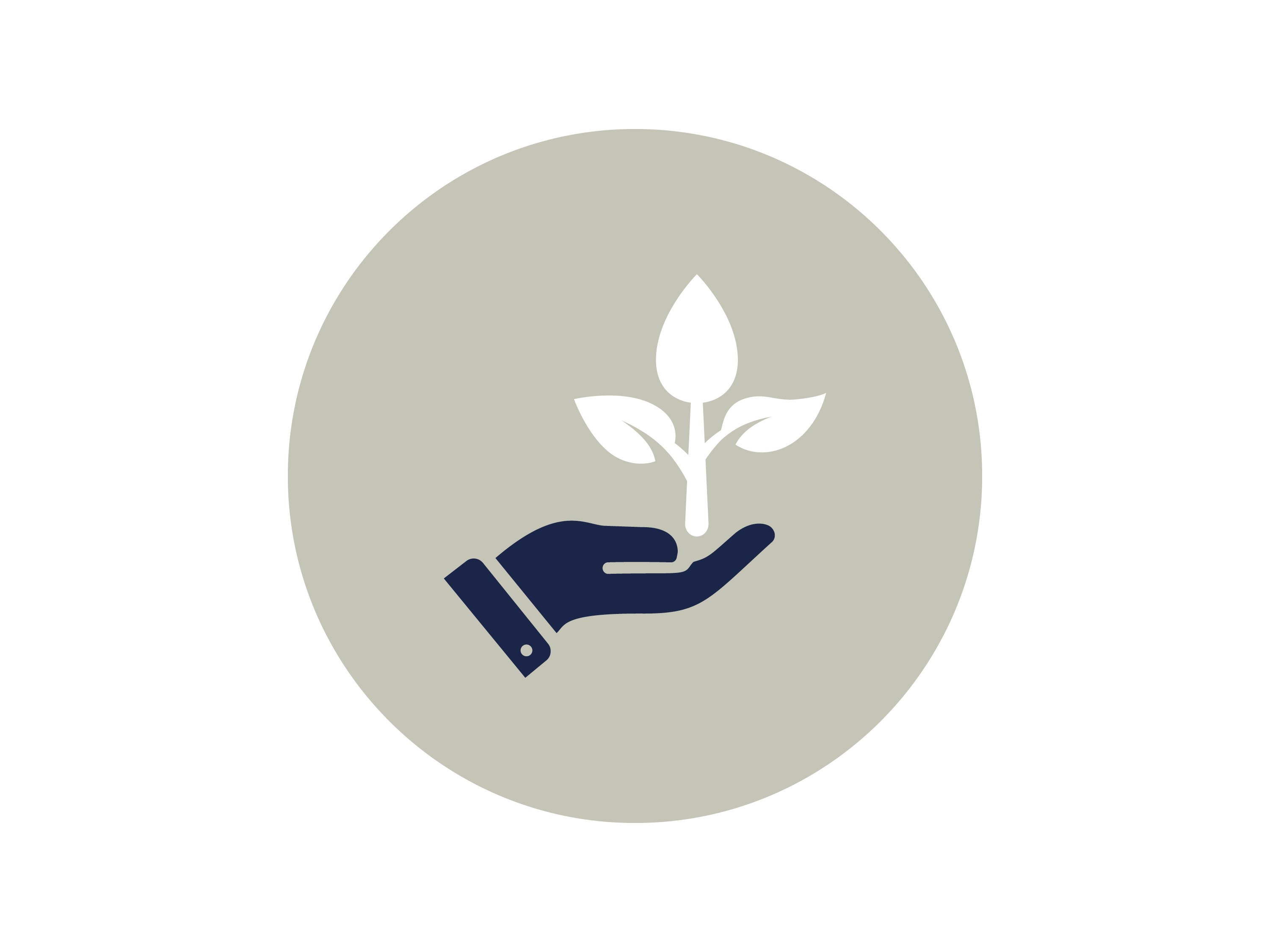 Unternehmenswert Nachhaltigkeit Hand hält Pflanze – Symbol für verantwortungsbewusstes und nachhaltiges Handeln.